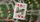 Elf Playing Cards - image 4