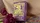 Eneida Playing Cards - image 7