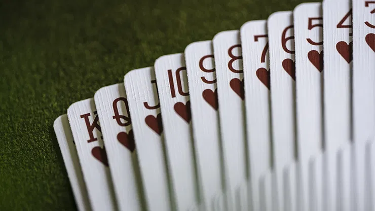 Erdnase Playing Cards - image 5