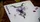 Essential Playing Cards - image 4