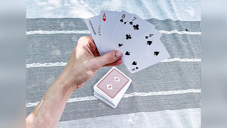 Evernia Playing Cards - image 5