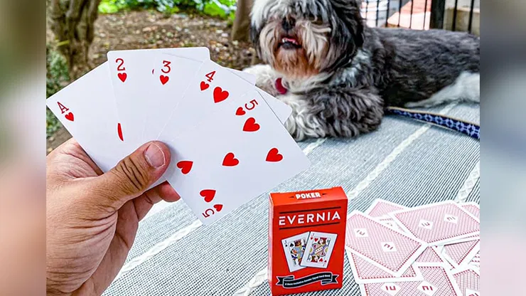 Evernia Playing Cards - image 6