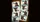 Evolution Of Mankind Playing Cards - image 5