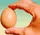 Fake Egg (Brown) - image 2