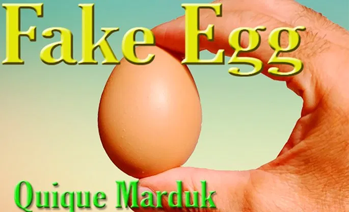 Fake Egg (Brown) - image 1