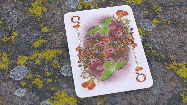 Faunae Playing Cards - image 6