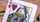 The Feather Deck: Goldfinch Edition - image 16
