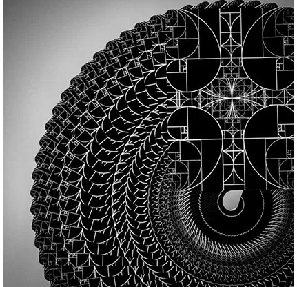 Fibs Playing Cards - Black - image 3