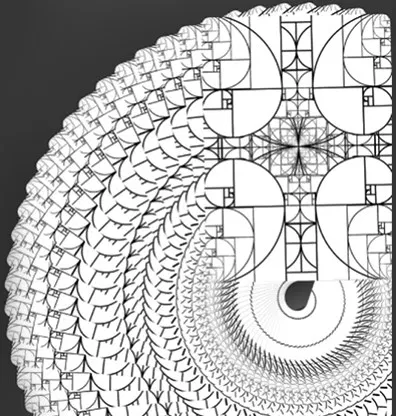 Fibs Playing Cards (White) - image 3