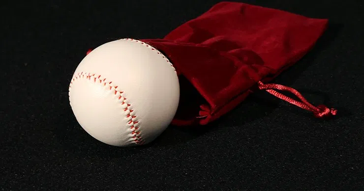Final Load Ball Leather (Baseball) - image 2