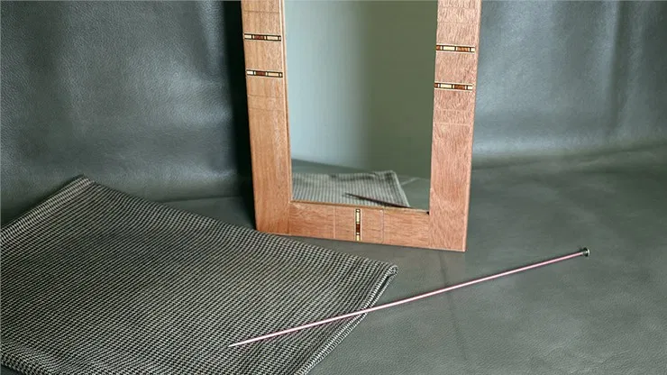 Flexible Mirror/Needle Through Mirror - image 2