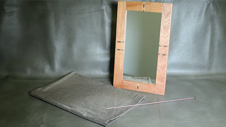 Flexible Mirror/Needle Through Mirror - image 1