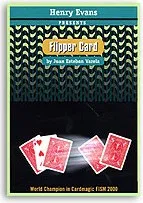 Flipper Card