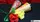 Flower & Cone Mystery - image 2