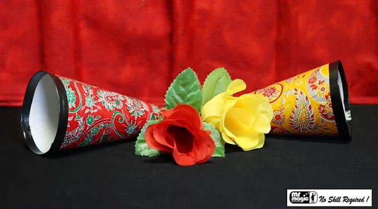 Flower & Cone Mystery - image 1