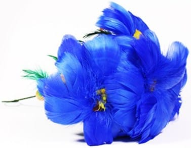 Flower Salute - thumbnail 5