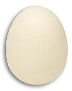 Foam Egg