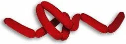 Foam Hot Dog String