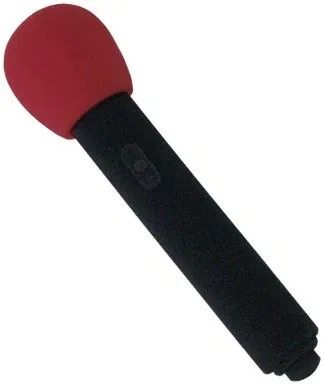 Foam Microphone
