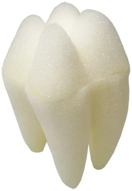 Foam Tooth 3"