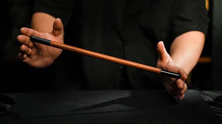 Folding Wand - image 5