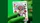 Fontaine Fever Dream CGI Playing Cards - image 1