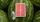 Fontaine Watermelon Playing Cards - image 2