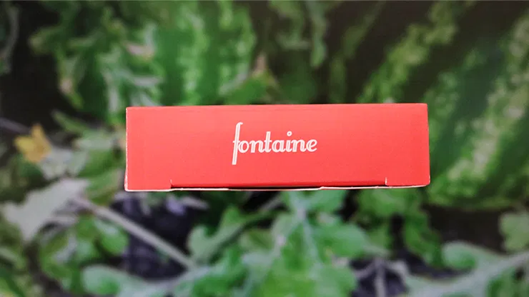 Fontaine Watermelon Playing Cards - image 5