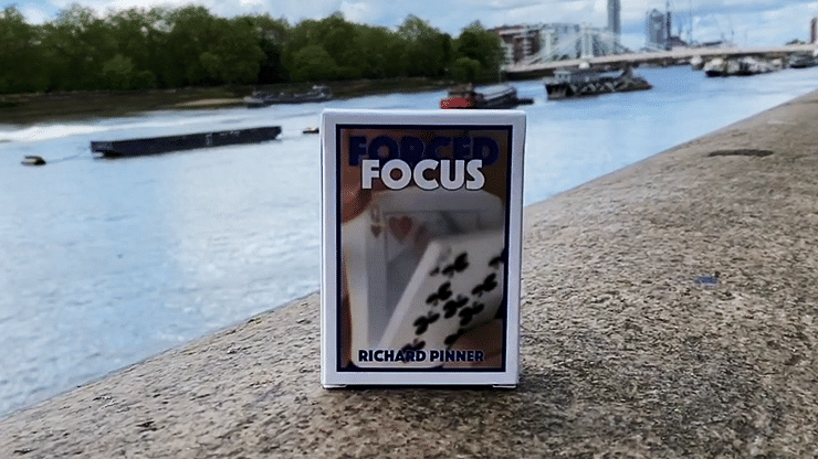 magic focus inc