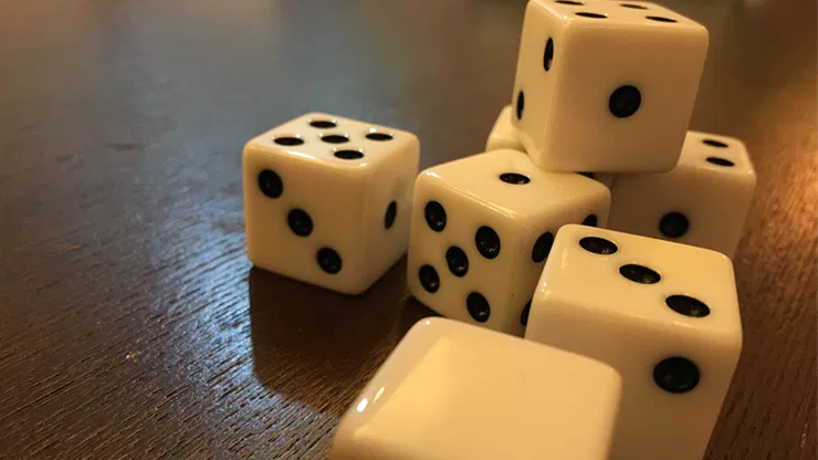 Forcing Casino Dice Set - image 2