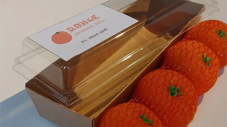 Fruit Sponge Ball (Orange) - image 4
