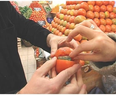 Fruitfull - thumbnail 3