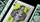 Fulton's October Playing Cards V4 - image 4