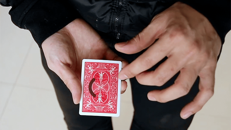 Ghost Ink - thumbnail 5