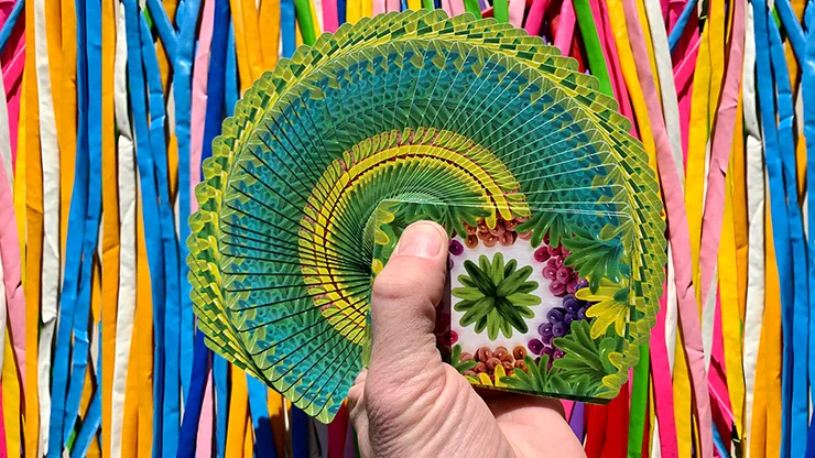 Rainbow Gilded Bicycle Balloon Jungle Playing Cards - image 3