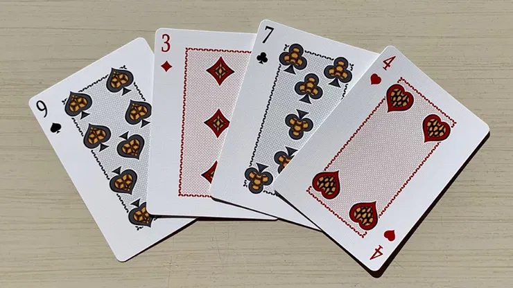 Gilded Bicycle Turtle Playing Cards - image 5