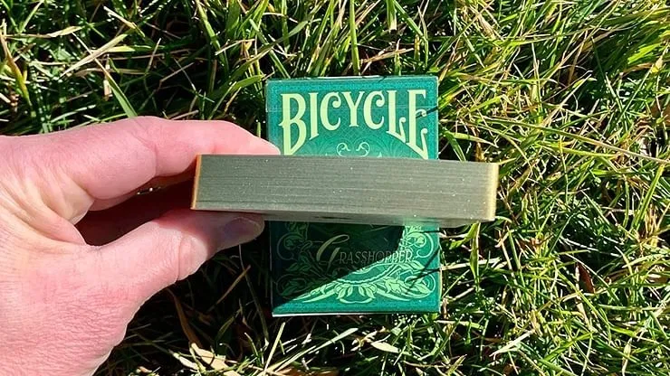 Gilded Grasshopper Playing Cards - image 7