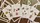 Gilded Hodges Playing Cards - image 9