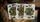 Gilded No.13 Table Players Volume37 Playing Cards - image 3