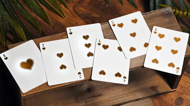 Gold Chancers Playing Cards - image 6