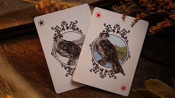 Goshawk Vintage Playing Cards - image 3