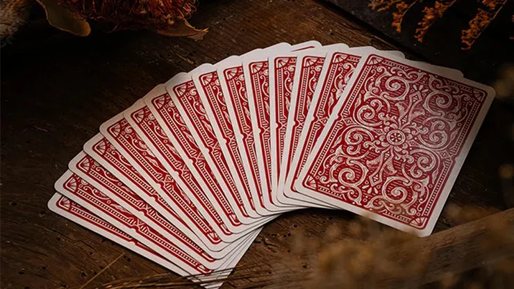 Goshawk Vintage Playing Cards - image 5