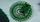 Green Wave Playing Cards - image 2