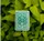 DKNG Green Wheel Playing Cards - image 2