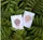 DKNG Green Wheel Playing Cards - image 3