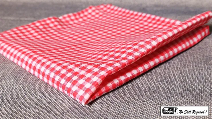 Haunted Hanky - image 2