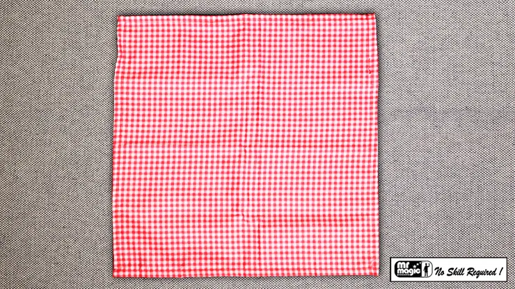 Haunted Hanky - image 1