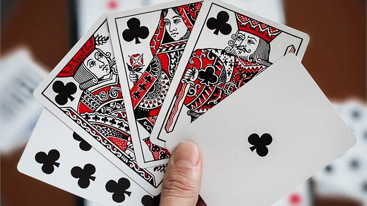 Hidden Leaves Playing Cards - image 5