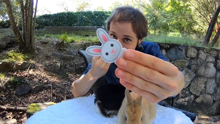 Hipp Hopp Rabbit - thumbnail 2