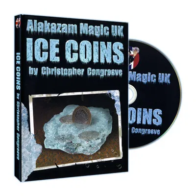 Ice Coins - image 1